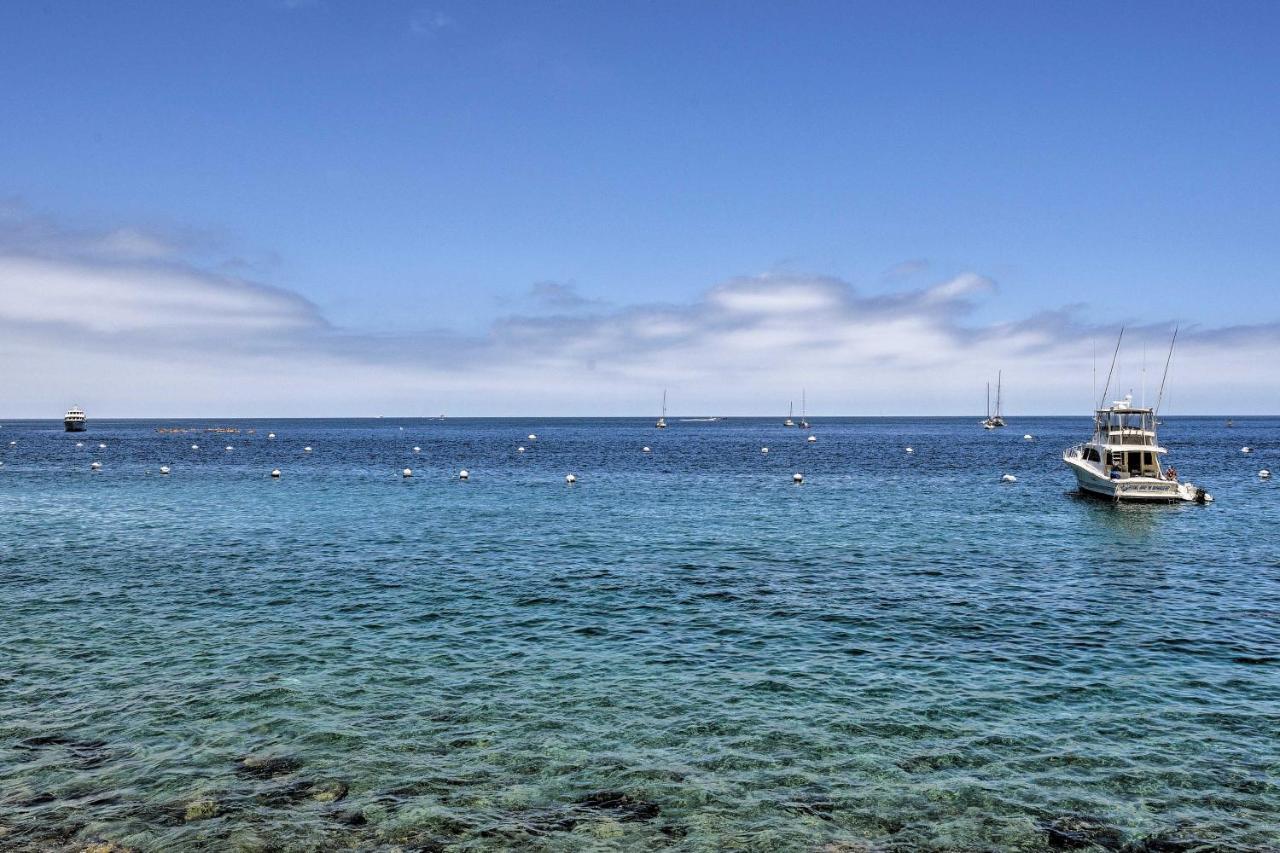 Catalina Island Cottage - Walk To Main St And Beach! Avalon Exterior photo